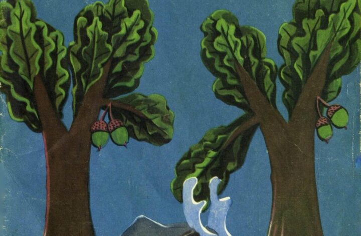 Where do dreams come from?