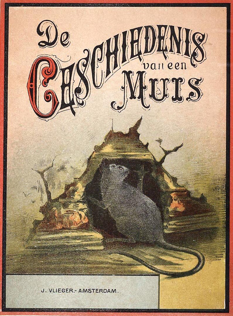 De geschiedenis van een muis